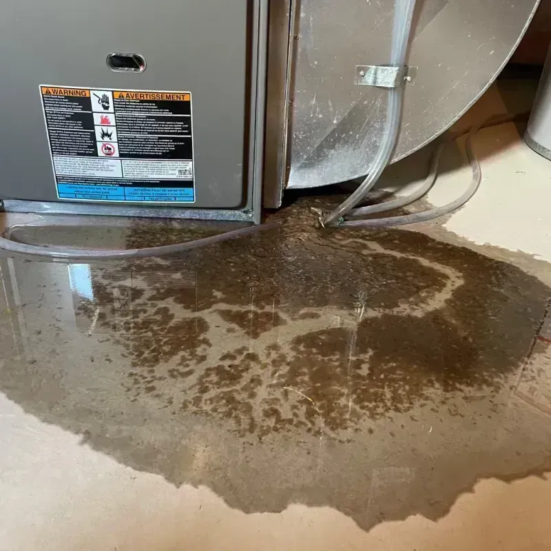 Appliance Leak Cleanup in Franklin Parish, LA